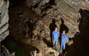 Avustralya Mağarasında