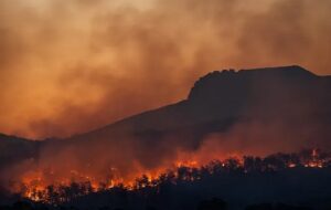 20 Yıl Öncesine Kıyasla İki Kat Daha Sık Aşırı Orman Yangınları Meydana Geliyor