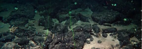 Kanarya Adaları'nda Efsanevi Kayıp Uygarlık Atlantis mi Bulundu?