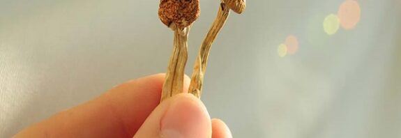 Psilosibin Kullanımında Beynin Nasıl Göründüğü Açıklandı