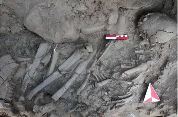Türkiye'de 12.000 Yıl Önce Gömülen Kadın Şaman Olabilir