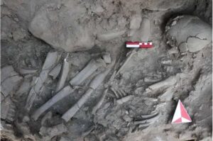 Did This 12,000-Year-Old Woman Hold Mystical Powers in Ancient Türkiye?
