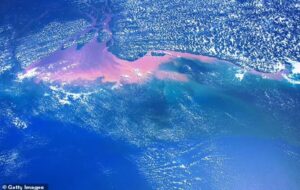 Huge patch of the Atlantic Ocean is cooling at a record speed - and scientists have no idea why