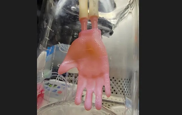 Kişiye Özel Yeni Cilt: Bilim İnsanları Biyo-Cildi Nasıl Yetiştiriyor?