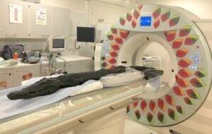 Last Meal Of Crocodile Mummified In Ancient Egypt Revealed 3,000 Years Later