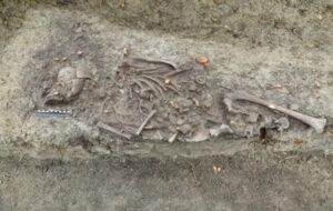‘Vampire’ grave unearthed beneath bishop’s palace stuns archaeologists