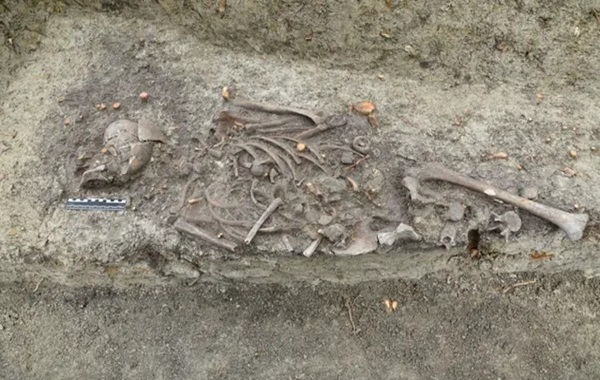 ‘Vampire’ grave unearthed beneath bishop’s palace stuns archaeologists