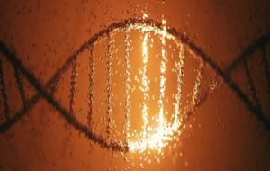 Scientists Reconstruct Oldest Human Genomes Ever Found in South Africa