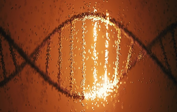 Scientists Reconstruct Oldest Human Genomes Ever Found in South Africa