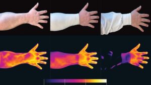 Scientists Unveil Mosquitoes' Infrared Tracking of Humans