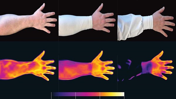 Scientists Unveil Mosquitoes' Infrared Tracking of Humans
