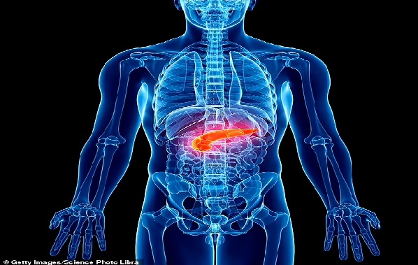 Breakthrough as woman's type 1 diabetes is CURED in world-first using stem cells