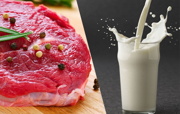 Süt ve Et Antijenleri Bağırsak Kanserini Engelliyor