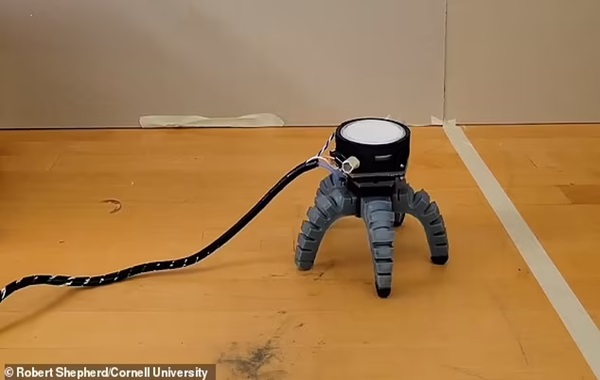 Cap-tivating! Scientists teach a MUSHROOM to crawl by fitting it with adorable robotic legs and harnessing its natural electrical signals