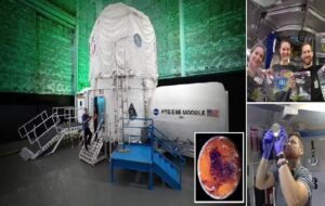 We spent 45 days in a simulated Mars habitat built by NASA - this is the brutal reality of life on Red Planet