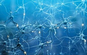 Sürekli Öğrenebilmesi İçin Yapay Zekaya Unutma Sanatı Öğretildi