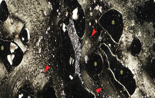 Nanostructures Found in Deep Sea Vents Generate Energy Without Life