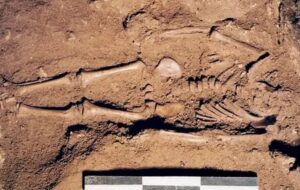 Mavi Gözlü Bir Çocuğun 17.000 Yıllık Kalıntıları Bulundu