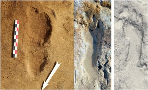 Who Walked Here 1.5 Million Years Ago? Ancient Tracks Uncover a Prehistoric Mystery