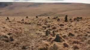Are Dartmoor’s Mysterious Stone Circles Tied to Stonehenge and Orkney