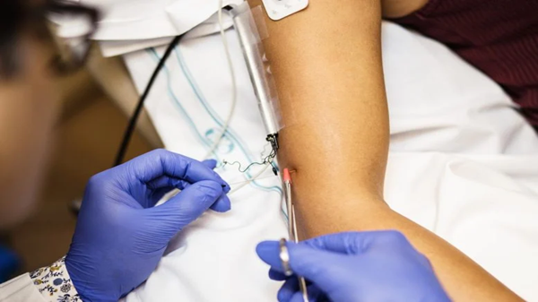 16 Yeni Sinir Hücresi Türü Keşfedildi: Duyularımız Ne Kadar Karmaşık?