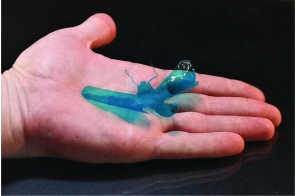 Bilim İnsanları Suya Duyarlı Biyopolimerlerin Gizemini Çözerek Yeni Uygulamalara Kapı Aralıyor