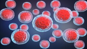 Kök Hücre Nakillerinin Gizemi Çözüldü mü 50 Yılın Ardından Gelen Büyük Keşif!