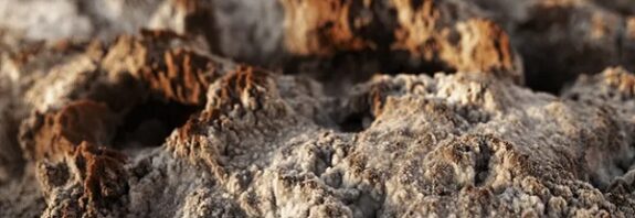 Ateşi Kullanan İlk İnsanların Aborjinler Olduğuna Dair En Eski Kanıtlar Ortaya Çıktı