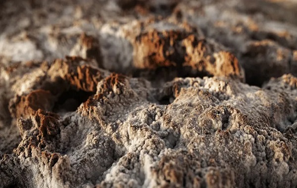 Ateşi Kullanan İlk İnsanların Aborjinler Olduğuna Dair En Eski Kanıtlar Ortaya Çıktı