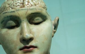 Bilim İnsanları, Beynin Gelecekteki Olayları Nasıl Tahmin Ettiğini Keşfetti