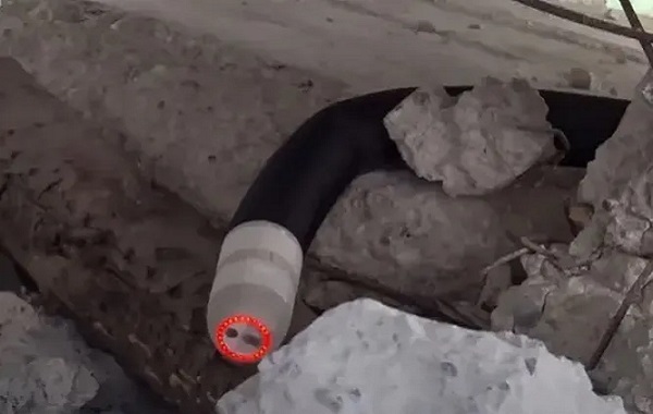 Yılan Robot ROBOA Enkaz Altında Sürünerek İnsanlara Yardım Edebilir