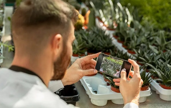 Yapay Zeka Bitki Hastalıklarını Tanımayı Öğrendi