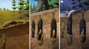 230 Milyon Yıllık Semender Benzeri Fosiller Şaşırtıcı Hayatta Kalma Taktiklerini Ortaya Çıkarıyor