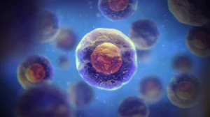 Are AM Radio Principles Hidden in Ancient Life?