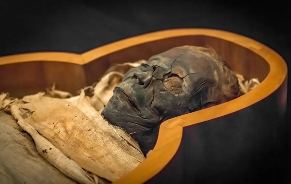 Traces of Black Death Found in 3,300-Year-Old Mummy