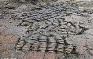 Archaeologists Discover Unusual Bone Floor in Historic Dutch Red Light Area