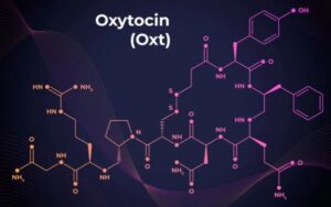 Oksitosin Burun Spreyi Kullanmak Ahlaki Duyguları ve Kararları Etkiliyor