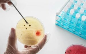 Biyomühendisler Doku Rejenerasyonu İçin Hücresel Ürünler Üretecek