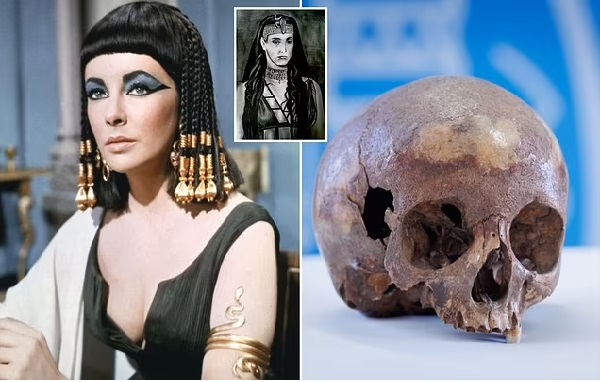 Identity Of Skull Believed To Belong To Cleopatra's Sister Finally Revealed