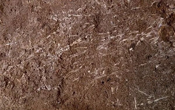 200.000 Yıllık Dünyanın En Eski Yatağı Afrika'da Bulundu!