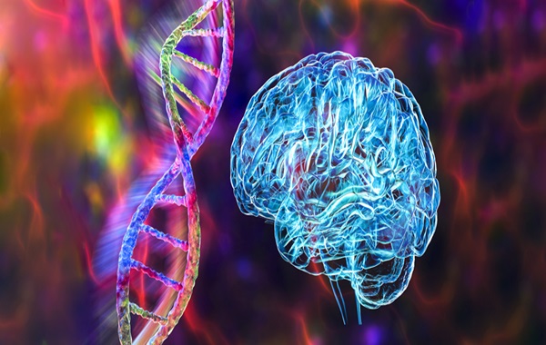 Groundbreaking Study Links Mental Health Disorders to a Common Source