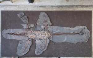 Bilim İnsanları 183 Milyon