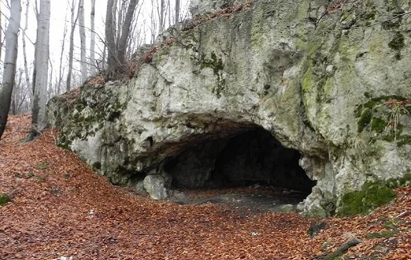 Mağarada Bulunan 18.000 Yıllık Kemiklerde Yamyamlık Kanıtı Bulundu