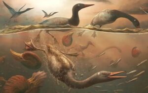 Antarktika'daki Kafatası Fosili, Dinozorlar Çağında Ördeklerin Varlığını Doğruladı