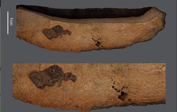 Eski İnsanlar 100.000 Yıl Önce Sembolik Resimler Yaptılar