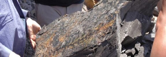 250 Milyon Yıl Öncesinde Hayatta Kalmanın Sırrı Nedir?