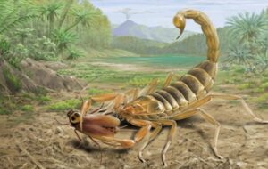 Çin'de 125 Milyon Yıllık Antik Bir Dev Akrep Bulundu