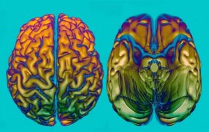 Beyin Yaşlanmasından Sorumlu 64 Gen ve Bunu Yavaşlatabilecek 13 İlaç Belirlendi