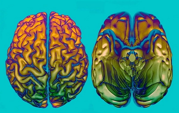 Beyin Yaşlanmasından Sorumlu 64 Gen ve Bunu Yavaşlatabilecek 13 İlaç Belirlendi