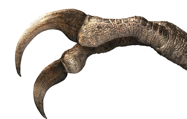 Bilim İnsanları Moğolistan'da Yeni Bir Dinozor Türü Buldu!